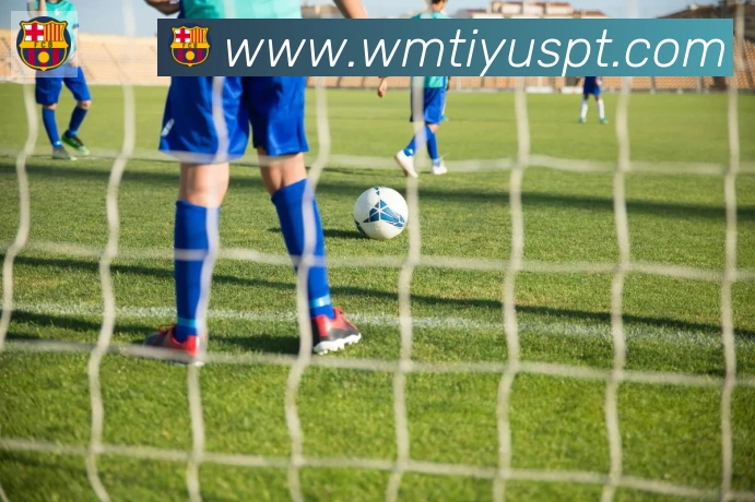 完美体育APP 高清赛事图