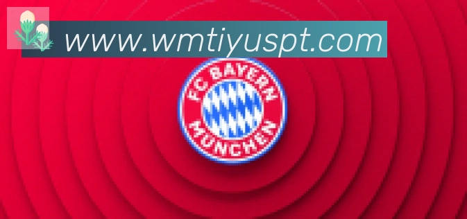 完美体育合作伙伴