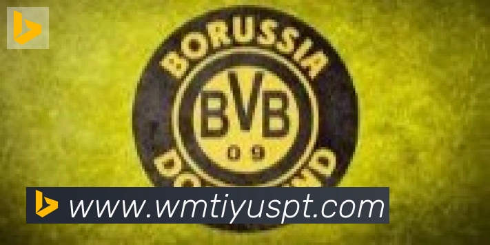 完美体育合作伙伴